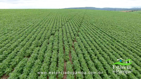 DOS EÓLICOS VIRA P FAZENDA_Moment.00_01_22_16.Quadro145_03f3405e8d2636c1afad852645dc7a87be949a06.jpg